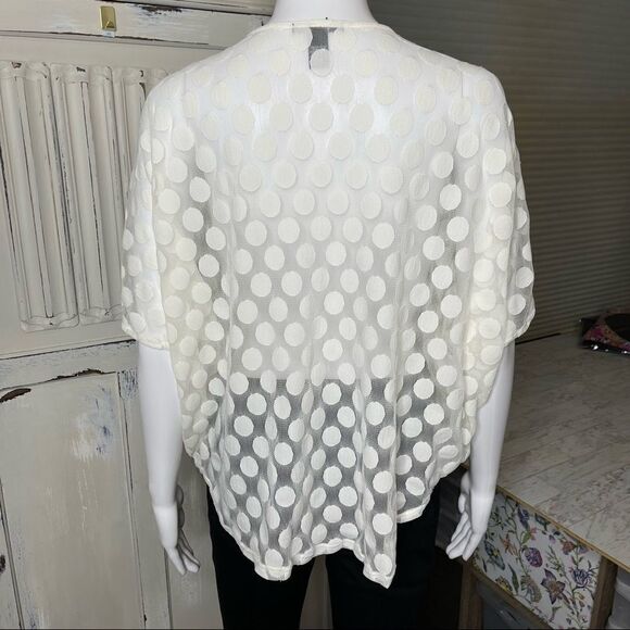 Alfani Off White Sheer Embroidered Neckline Pullover Blouse Top Size PM - Picture 11 of 12
